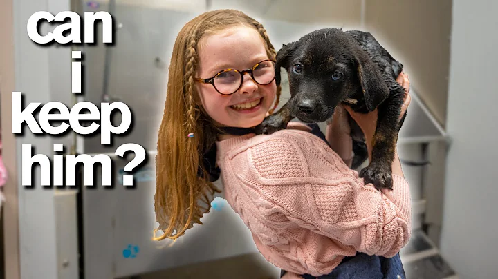 10-Year-Old Has Only 10 Minutes to ADOPT A PUPPY *Emotional* - DayDayNews