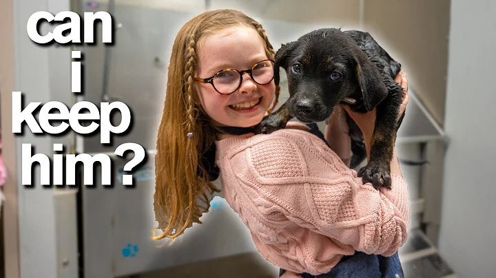 10-Year-Old Has Only 10 Minutes to ADOPT A PUPPY *...