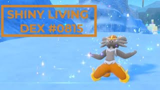 LIVE SHINY CINDERACE! - Shiny Living Dex #0815