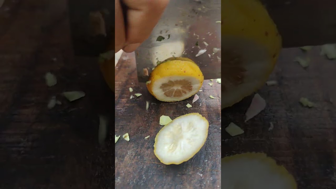 GT 71000464 mini rotary tillage and ridging all-in one tree 🌴