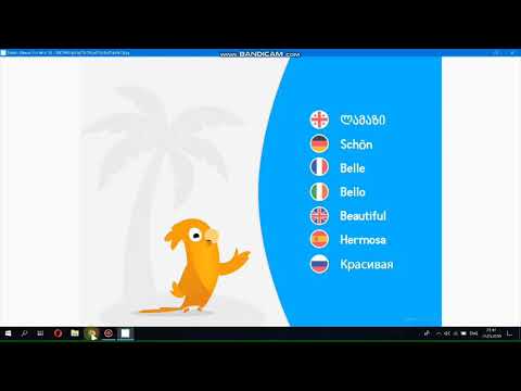 როგორ დავრეგისტრირდე Lingwing_ზე?