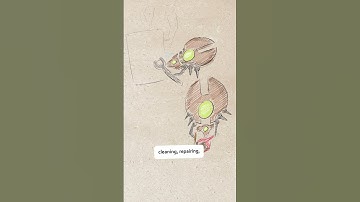 Necron Canoptek Explained In 60s | Warhammer 40k Lore