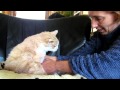 Giving my 18 year old cat Garfield &quot;elderly care&quot;, so he doesn&#39;t become a &quot;Smelly Cat&quot;