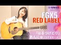 『はるつげどり』 YAMAHA FGX5 RED LABEL |  あんにゅ (コアラモード. )