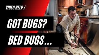 5 Things About Bed Bugs! | Identify Pest Control (978) 549-6250 | IdentifyPestControl.com