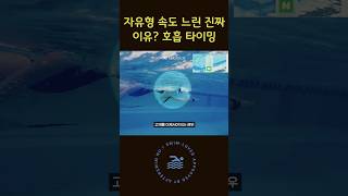 자유형 속도 느린 진짜 이유? 호흡 타이밍 #수영배우기 #자유형