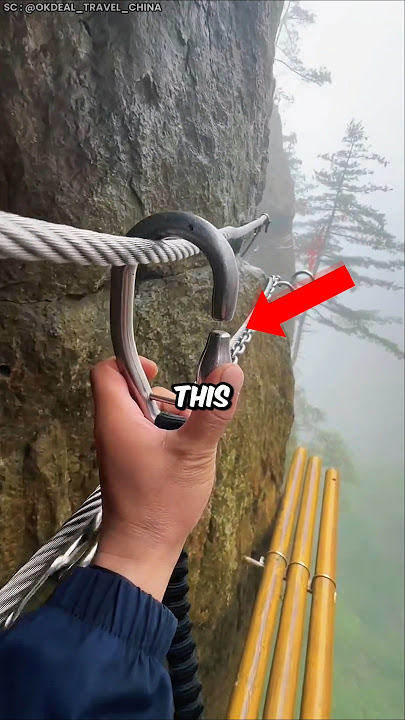 This Man Chose a Life of Pure Adrenaline π±βΌοΈ