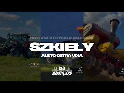 KRYCHA X STYNU X ALBERCIK - SZKIEŁY ALE TO OSTRA VIXA (ROGAL575 MASHUP)
