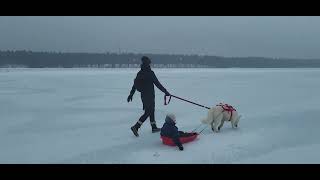 Walking on the ice