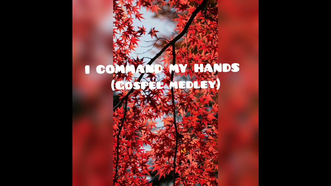 I Command My Hands To Praise The Lord Lyrics