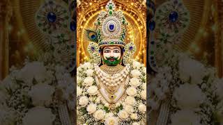 jai shree shyam saware sarkar ki jai 🌹🌹 #shyam #khatushyam #youtubeshorts