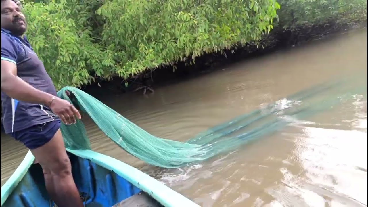 खाड़ीमध्ये बोस्की लाऊन,पकड़ली कोलंबी जिताडी.Boski Doli Fishing