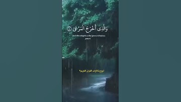 سبح اسم ربك الاعلى-تلاوة هادئة