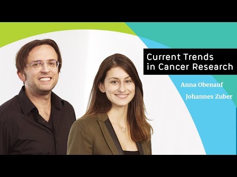 Current Trends in Cancer Research:  Cancer Genomes, Genetic Tools and Immunotherapy