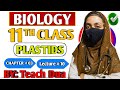 Plastids Explained | Chloroplast, Chromoplast & Leucoplast | Class 11 Biology | Easy Animation