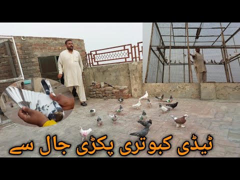 Chiri Mari Full