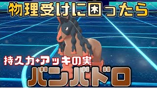 ポケモン剣盾 物理受けに困ったら持久力 アッキの実バンバドロを使え Youtube