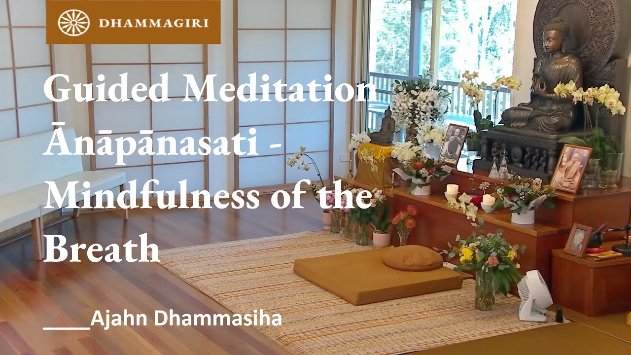 GUIDED MEDITATION | Mindfulness of Breathing | Breath Meditation | Anapanasati | Ajahn Dhammasiha