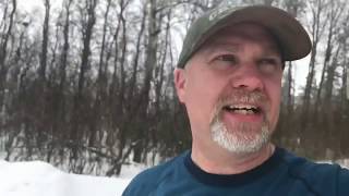 Ice and snow is exploding off the trees!