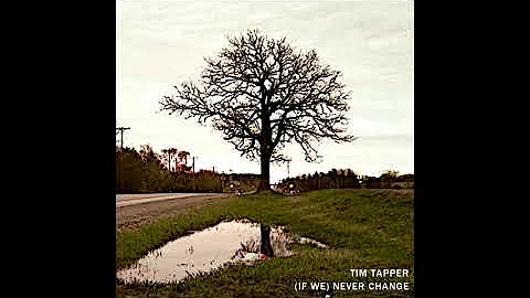 Tim Tapper - (If We) Never Change [Remastered Vers...