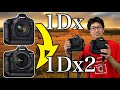 【Canon】フラグシップ機！1Dxと1Dx2違い！今がお買い得!?　【カメラ】【写真家】