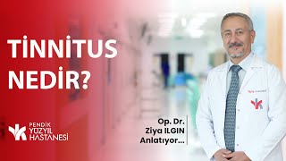 Kulak Çınlaması (Tinnitus) | Op. Dr. Ziya ILGIN