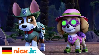 PAW Patrol | Die Welpen retten die Elefanten | Nick Jr. Deutschland