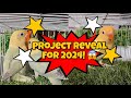 Project reveal for 2024 