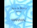 Manimal - Agua de Benzer (Remix)