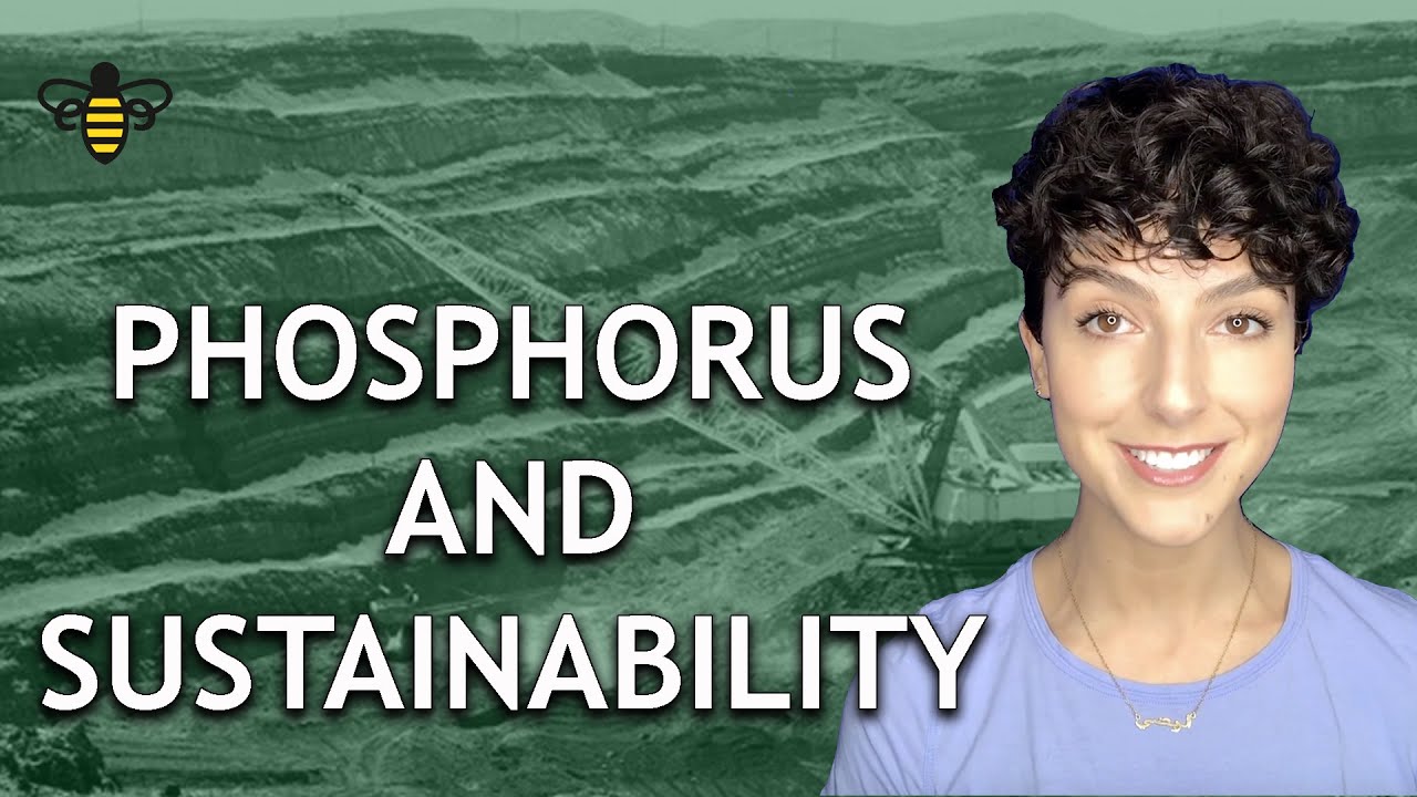 what happens to phosphorus that erodes from rock and soil