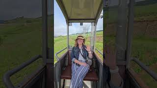 Say hello to the Rhine River. #rhineriver #rhinerivercruise #travelinspiration #amawaterways