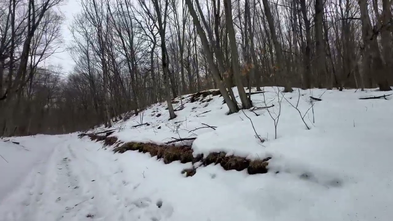 nieve en la montaña huntington ny 11746