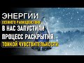 Энергии осеннего равноденствия в нас запустили процесс раскрытия тонкой чувствительности