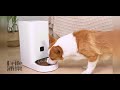 【P&H寵物家】Peile 7L單雙槽不繡鋼餐盤 寵物智能餵食器WiFI版(寵物自動餵食機) product youtube thumbnail