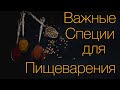 Важные специи для пищеварения. Аюрведа для всех.