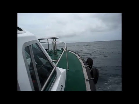 camera iphone 8 plus apk APEX PILOT BOAT