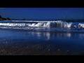 Fall Asleep in Minutes 🌊 Serene Night Ocean Waves
