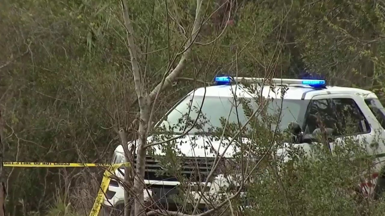 Man armed with knives shot after charging deputy in Volusia County ...