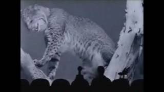 The Best MST3K Shorts (OVER TWO HOURS!!!)