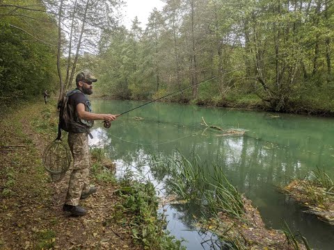 Video: Žlica Za Pastrve: Tajne Uspješnog Ribolova