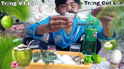 Thử Luộc Trứng Vịt Và Trứng Cút Lộn Với Nước Dừa Vị Sẽ Như Thế Nào? - NCP TV