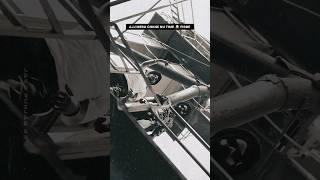 Sapp 🐍 Snake Sidhu Moosewala #sidhu #leaked #trending #viral #sidhumoosewala #reels #snake #punjab