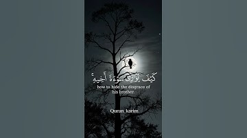 فَبَعَثَ ٱللَّهُ غُرَابࣰا یَبۡحَثُ فِی ٱلۡأَرۡضِ #quran #سيد_سعيد #سورة_المائدة #تلاوة_خاشعة #المصحف