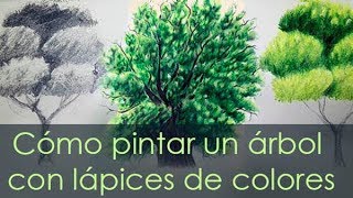 Cómo pintar un árbol con lápices de colores