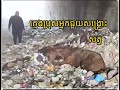 ក្មេងប្រុសអ្នកជួយសង្គ្រោះសត្វ: រឿងរ៉ាវដ៏កក់ក្តៅដែលផ្លាស់ប្តូរជីវិតសត្វរាប់រយ