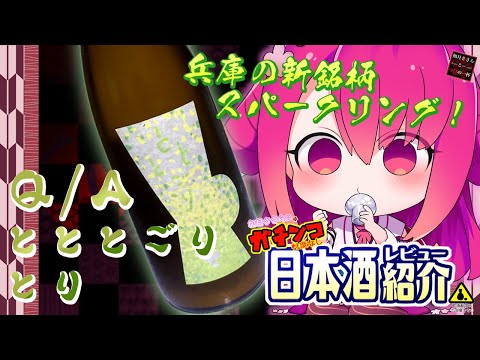 【Q/A】如月ささらのガチンコ日本酒レビュー！【とととごり とり 】