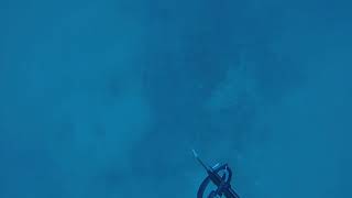 20170811 Dive 4