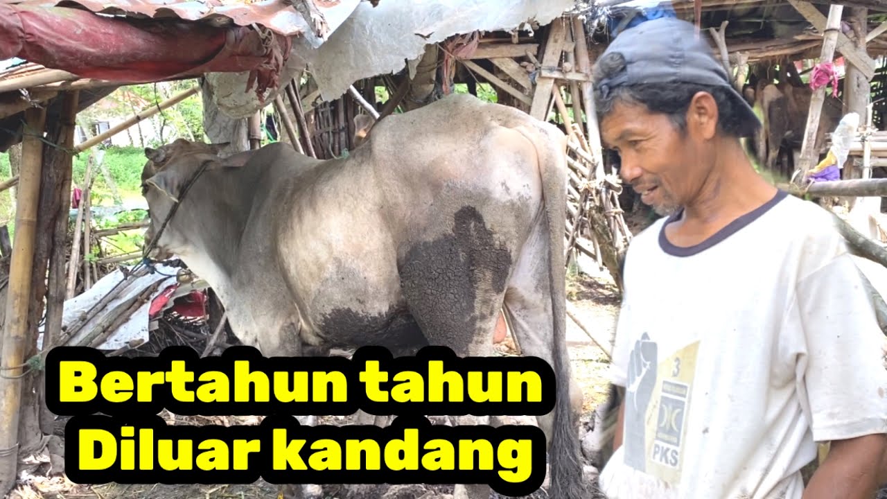 SUDAH BERTAHUN TAHUN HUJAN KEPANASAN