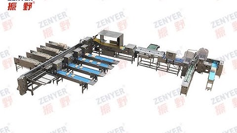 ZENYER 109 Egg Grader automatic packing machine (connect to a rod conveyor) - 30,000 eggs/hour