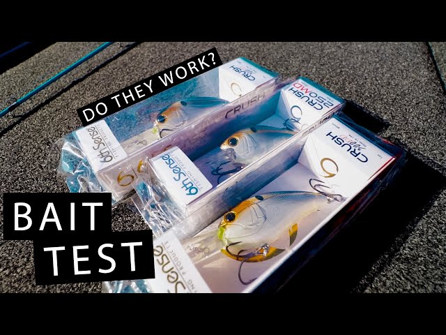 Will These Baits Catch Fish? We Put 5 Different 6th Sense Lures to the  TEST! This Is What Happened 